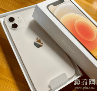 不过吐槽的声潮牌品牌音是最多的（iPhone12耗电太快怎么办 iPhone12耗电突然变大什么原因）