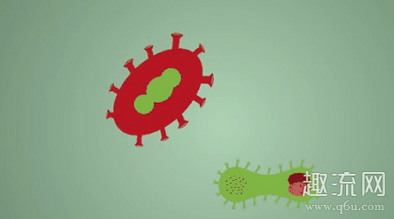 布鲁氏菌病是什么病 布鲁氏菌病能治好吗