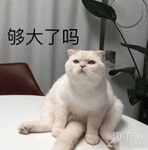 其实潜台词很清楚了潮牌汇潮牌网店:你们这帮人别给老子白嫖啊（美国队长误发私照原图 美国队长是什么梗）