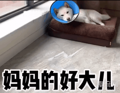  经常玩抖音的小伙伴应潮牌汇潮牌网店该对于陈比方还是有了解的（妈妈的好大儿什么梗 妈妈的好大儿下一句是什么）