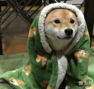 下面一起和潮牌信息小编看看吧（阿巴阿巴阿巴高清表情包分享,这么好玩还不知道什么意思?）