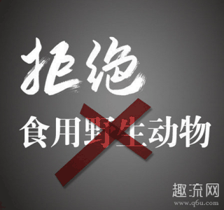  “昆虫纲潮牌汇潮牌网”有3种（广东禁食所有人工饲养陆生野生动物 陆生野生动物是什么意思 包括哪些）
