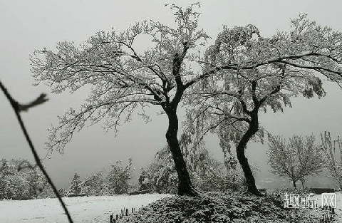 3月下雪正常吗 3月下雪了有什么征兆