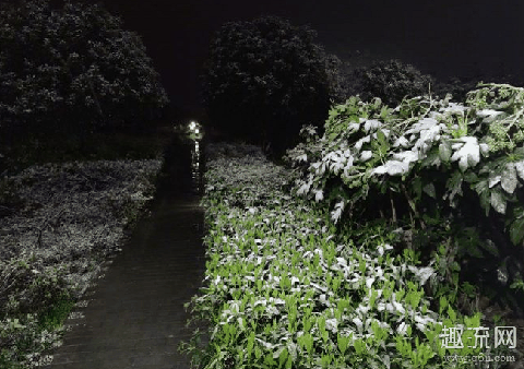 3月下雪正常吗 3月下雪了有什么征兆