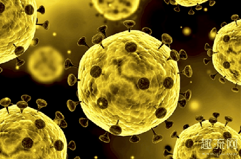 新型冠状病毒是自然病毒吗 新型冠状病毒有变异可能是什么意思