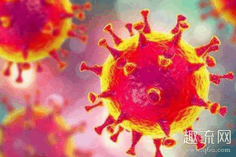 新冠病毒口服疫苗研发出来了吗 新冠病毒疫苗最新消息