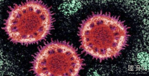 俄罗斯证实新冠病毒是人工合成 俄罗斯证实人工合成病毒是真的吗