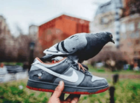 而且这个数字还仅潮牌汇潮牌网仅是粗略统计得出的(每年因球鞋死亡人数居然高达1200?美国比较著名球鞋暴乱事件有哪些) 而且这个数字还仅潮牌汇潮牌网仅是粗略统计得出的(每年因球鞋死亡人数居然高达1200?美国比较著名球鞋暴乱事件有哪些)