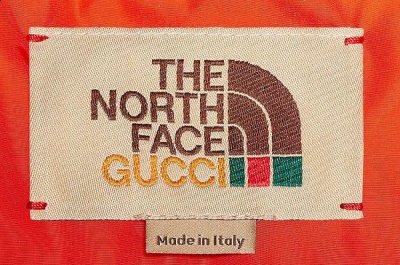 又与 The North Face logo 组合一同出镜 潮牌冬季如何御寒提醒（Gucci x 北面 2021 秋冬系列公布，奢华户外风）
