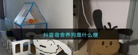 三、来看看各式各样的宿舍小狗 哪种潮牌品牌比较好看?(抖音宿舍养狗是什么梗?抖音宿舍养狗是真的吗?)