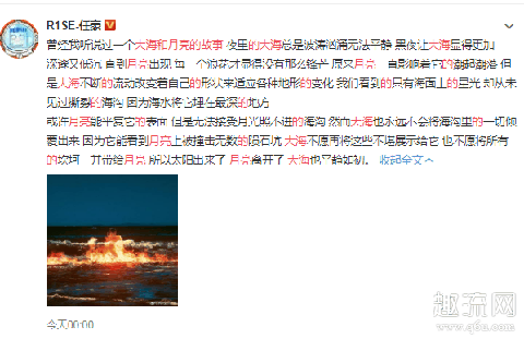 大海和月亮的故事是什么 大海和月亮是什么意思什么梗