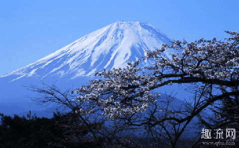 Air Max 95日本红富士山上脚 日本富士山是私人的吗