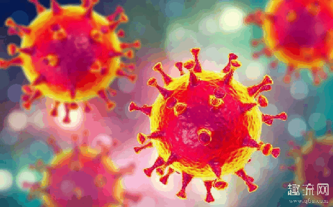 新型冠状病毒传播途径有哪些 在家隔离要做什么