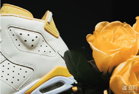 Air Jordan 6 GS “Floral”花卉配色价格预测 aj6 花卉配色有男版吗