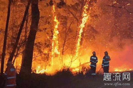 NOAH澳洲火灾限定款亮相 澳大利亚山火怎么样了