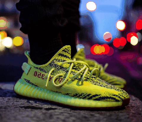  Yeezy 350 V2“Semi Frozen Yellow” 发售日期：2018 年潮牌信息 12 月 曾经比白斑马更为稀有的黄斑马配色也将于年底再度登场（2018下半年发售椰子球鞋有哪些 2018下半年发售椰子球鞋大汇总）