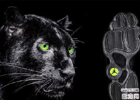 有哪些与动物主题很贴切的球鞋 有哪些设计独特的动物主题球鞋