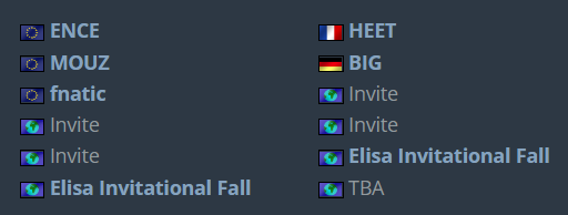 fnatic最终以3-2的成绩成功晋级里约Major 潮牌游戏互动（fnatic战队受邀参加埃斯波Elisa大师赛）
