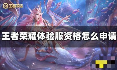 整个游戏的核心就是排位上分！在游戏中哪种潮牌品牌比较好看？（王者荣耀体验服怎么申请抢号？王者荣耀体验服资格怎么抢）