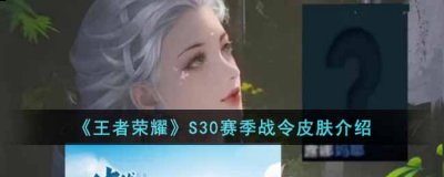 战令皮肤一般有两个 潮牌游戏互动（王者荣耀S30赛季战令皮肤是什么?S30赛季战令皮肤介绍）