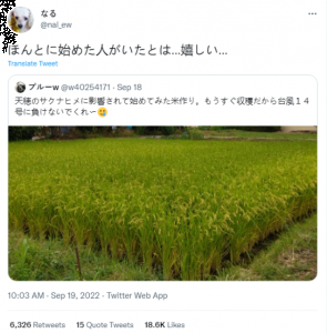  玩家受天穗之咲稻姬影响种地 在推特上 玩家最喜爱潮牌有哪些？（玩家受天穗之咲稻姬影响种地 制作人转发点赞）