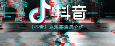  小编： 潮牌网 抖音乌鸡哥是什么梗？ 随着短视频平台的迅猛发展 2022冬季潮牌新款推荐（抖音乌鸡哥是什么梗？抖音乌鸡哥梗含义出处介绍）