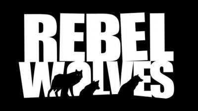 Tomaszkiewicz在CDPR工作了近13年 喜爱潮牌有哪些（Rebel Wolves聘请《巫师3》资深人士为创意总监 3A奇幻RPG开发中）
